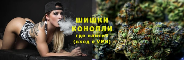 гашик Гусь-Хрустальный