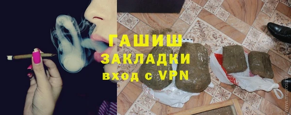 гашик Гусь-Хрустальный