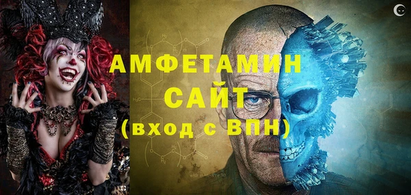 гашик Гусь-Хрустальный
