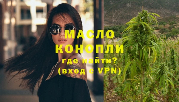гашик Гусь-Хрустальный
