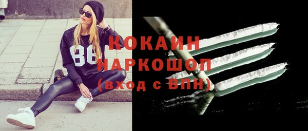 гашик Гусь-Хрустальный