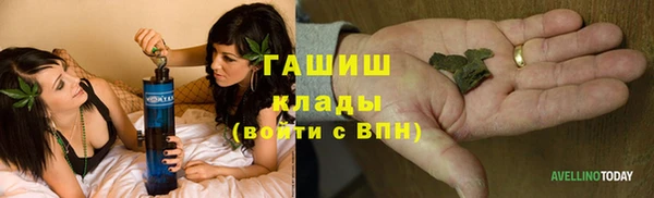 гашик Гусь-Хрустальный
