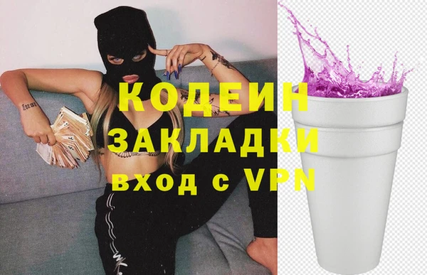 гашик Гусь-Хрустальный