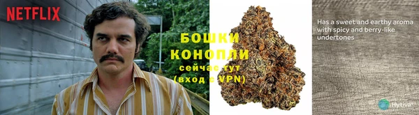 гашик Гусь-Хрустальный