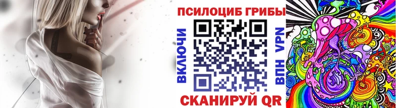 Псилоцибиновые грибы MAGIC MUSHROOMS  закладка  нарко площадка какой сайт  Михайлов 